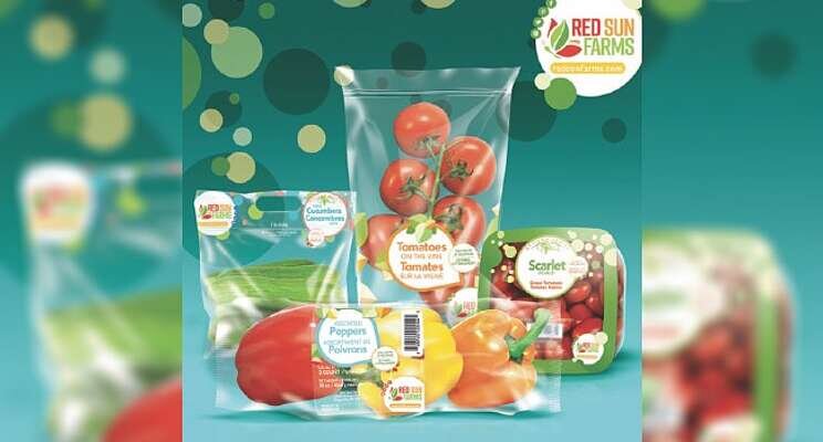 Red Sun Farms committed to its state-of-the-art greenhouses Red Sun Farms committed to its state-of-the-art greenhouses