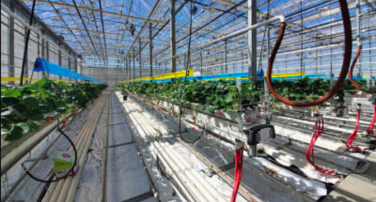Agriculture grant initiates greenhouse research project