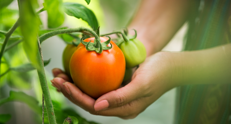 Agrochemicals industry needs to be future ready Agrochemicals industry needs to be future ready