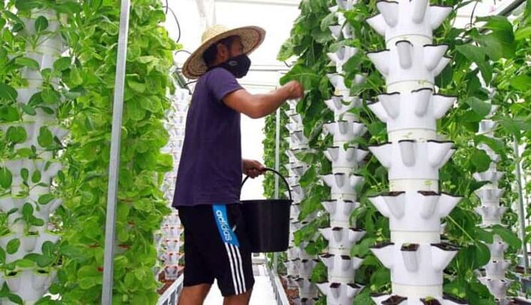 The 20-year-old CEO changing the face of farming The 20-year-old CEO changing the face of farming