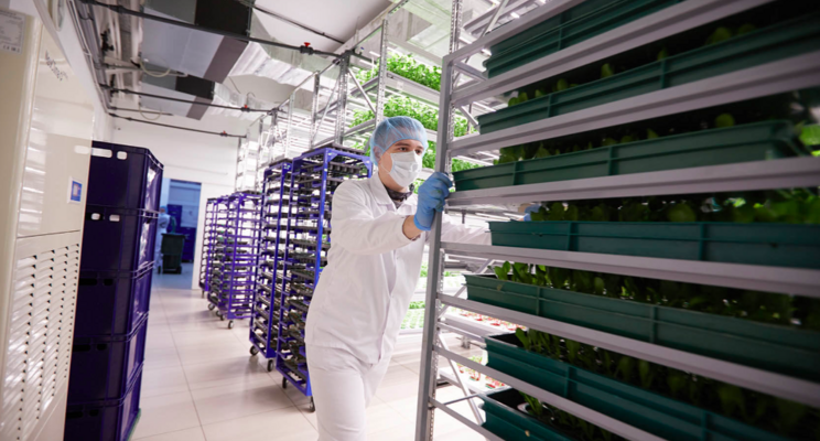 How many working hours does it take to run a vertical farm?