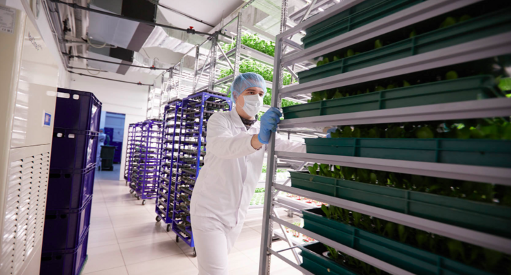 How many working hours does it take to run a vertical farm? How many working hours does it take to run a vertical farm?