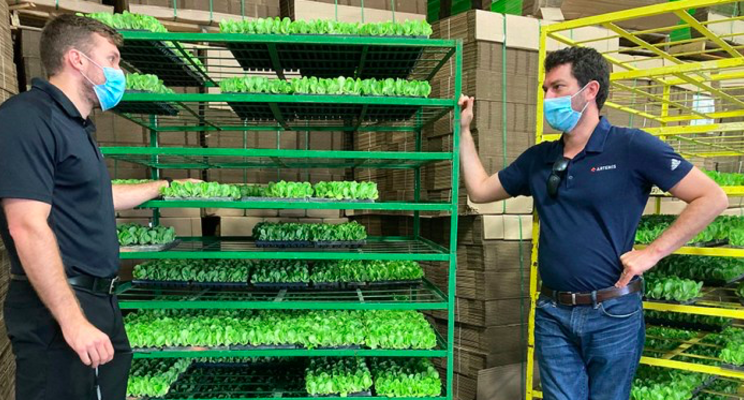 IUNU acquires leading indoor agriculture company Artemis IUNU acquires leading indoor agriculture company Artemis