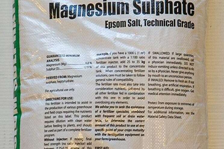 Polarity & nutrient uptake Polarity & nutrient uptake