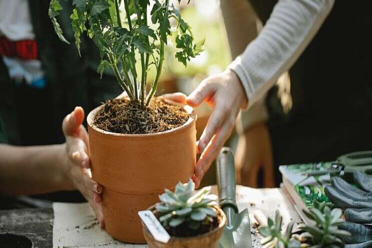 Eight trends that will define the gardening industry in 2022 Eight trends that will define the gardening industry in 2022