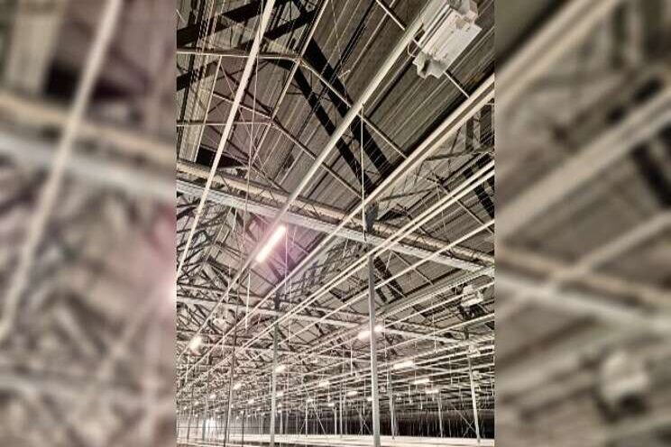 Shining news: hybrid lighting for WPK and P. van Geest Shining news: hybrid lighting for WPK and P. van Geest