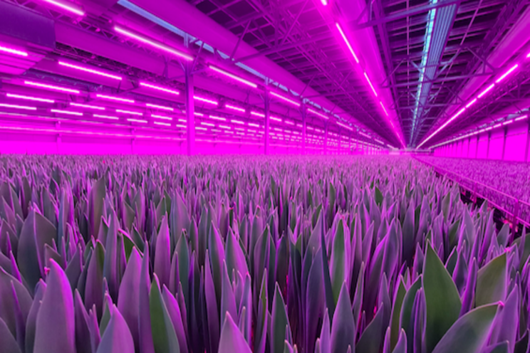 The growth recipe for your multi-layer cultivation The growth recipe for your multi-layer cultivation