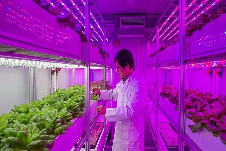 New vertical farms will tackle global food challenges New vertical farms will tackle global food challenges
