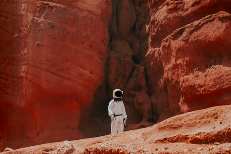 The race is on to develop space food for Mars The race is on to develop space food for Mars