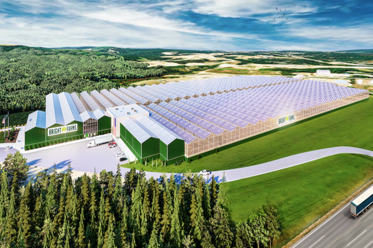 BrightFarms plans multi-acre expansion of its new facility BrightFarms plans multi-acre expansion of its new facility