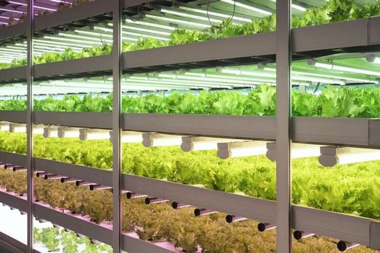 SEGRO to start £300m futuristic food production hub SEGRO to start £300m futuristic food production hub