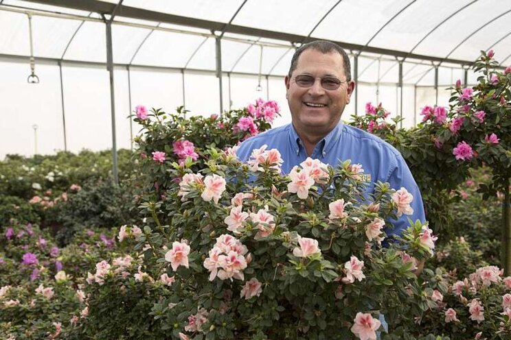 Meet the Breeders: Flamingo Holland, Plant Development Services Meet the Breeders: Flamingo Holland, Plant Development Services