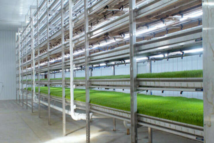 HydroGreen Grow System receives sustainability accolade