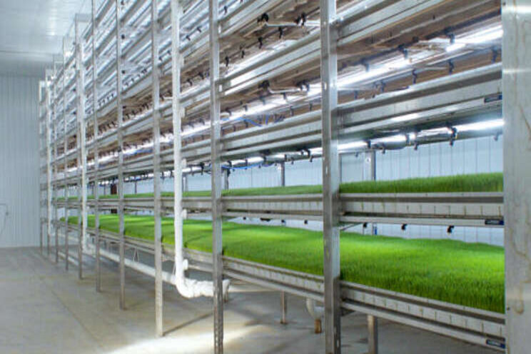 HydroGreen Grow System receives sustainability accolade HydroGreen Grow System receives sustainability accolade