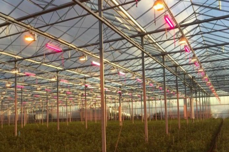 Webstore for spare parts grow light installation Webstore for spare parts grow light installation
