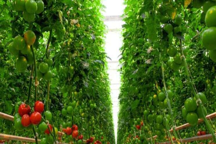 Ohio operations doubled with more organic acreage Ohio operations doubled with more organic acreage
