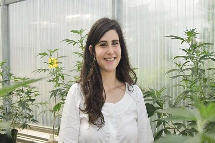 Connecticut researchers target pythium management in cannabis Connecticut researchers target pythium management in cannabis