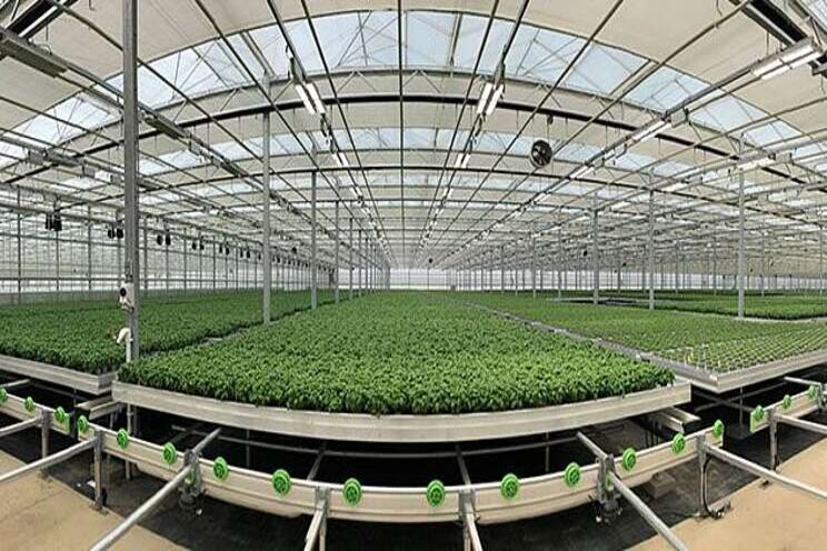 What to look for in a greenhouse light plan What to look for in a greenhouse light plan