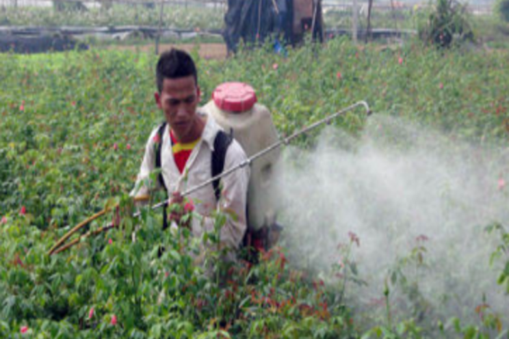 Fertilizers and agrochemicals use in Vietnam Fertilizers and agrochemicals use in Vietnam