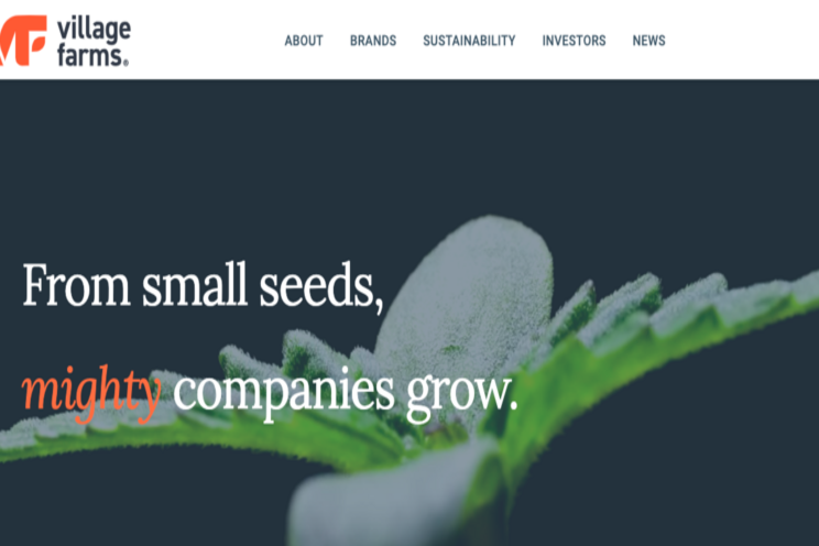 Village Farms International unveils new corporate branding Village Farms International unveils new corporate branding