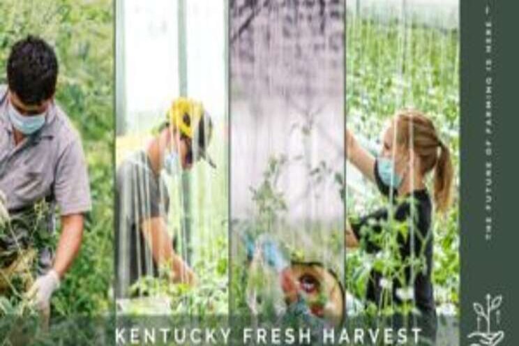 Workers to be part of your greenhouse food safety plan Workers to be part of your greenhouse food safety plan