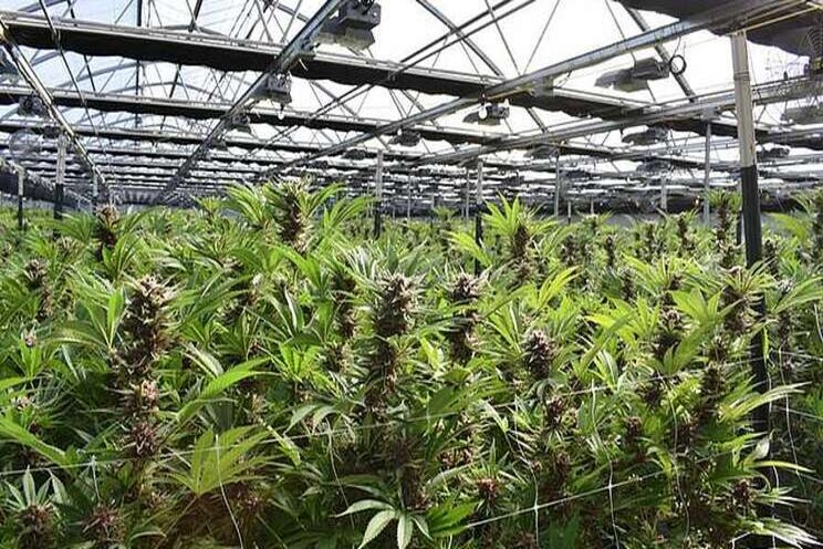 Energy savings potential of automation in cultivation Energy savings potential of automation in cultivation