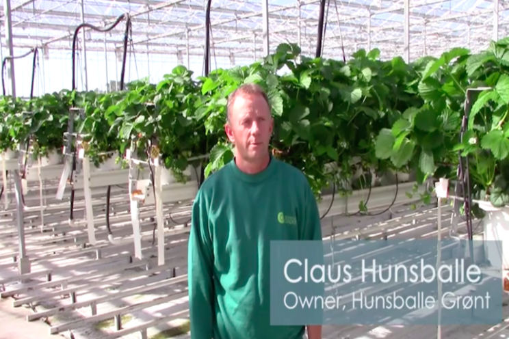 How Peroxide Ultrapure provides huge benefits to the grower How Peroxide Ultrapure provides huge benefits to the grower