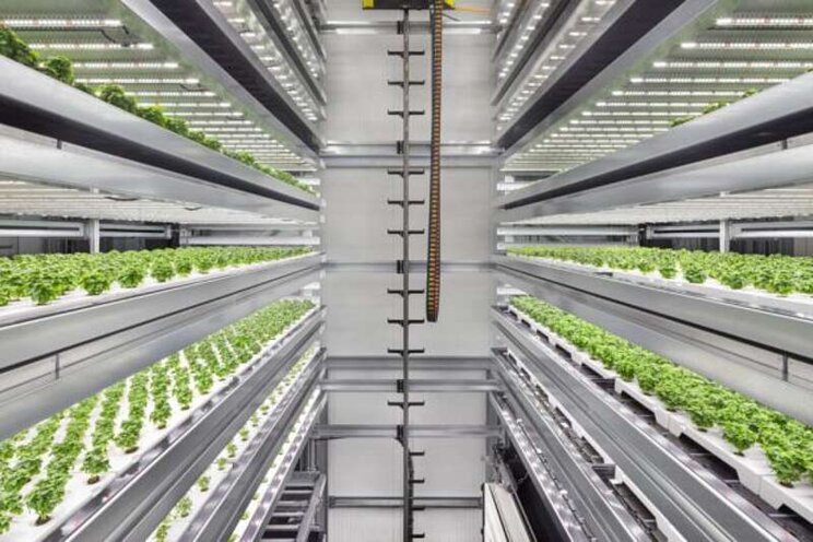 Infarm announces new vertical farming facility in Copenhagen Infarm announces new vertical farming facility in Copenhagen
