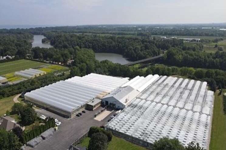 Boekestyn Greenhouses & Flora Pack (BFP) take the next step Boekestyn Greenhouses & Flora Pack (BFP) take the next step