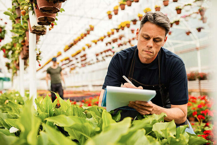 The benefits and most effective use of plant growth regulators The benefits and most effective use of plant growth regulators