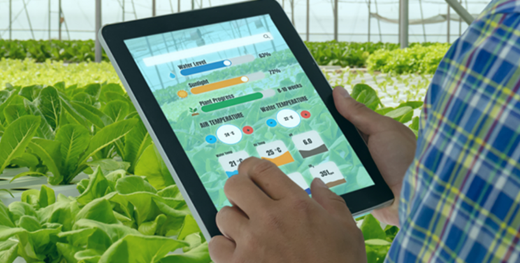Use of robots and AI in greenhouse horticulture
