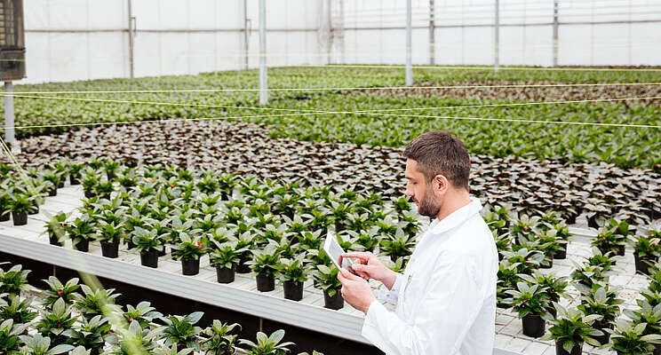 New horticultural R&D environment welcomed New horticultural R&D environment welcomed