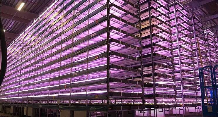 VIDEO: Nordic Farming: Indoor VF powered by the wind VIDEO: Nordic Farming: Indoor VF powered by the wind
