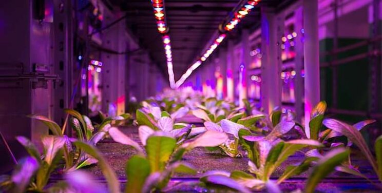 Underground metro station transformed into an organic VF Underground metro station transformed into an organic VF