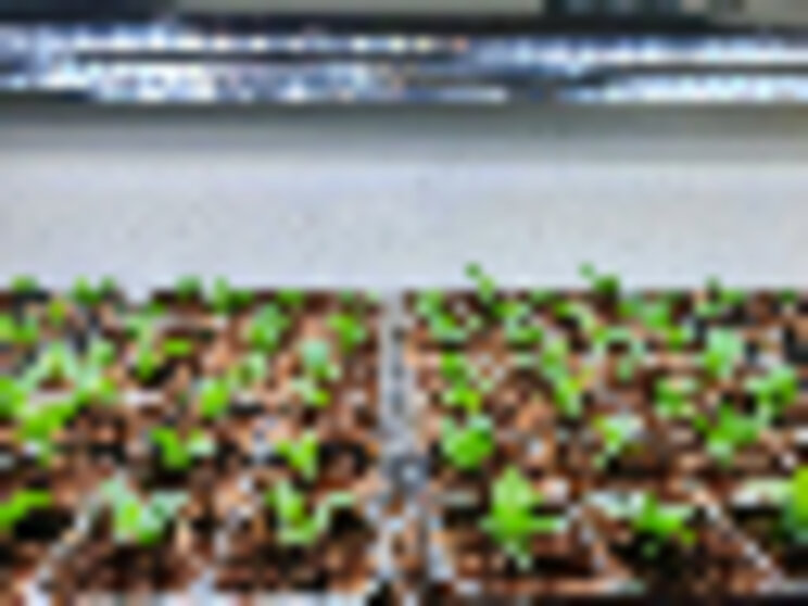 IAT launches vertical farming technology IAT launches vertical farming technology