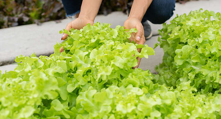 New farm helps people with disabilities to live,work and thrive