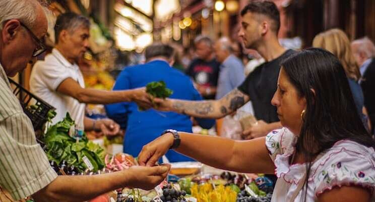 Energy prices to cause shortage of vegetables Energy prices to cause shortage of vegetables