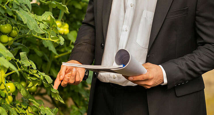 How new energy codes are affecting greenhouse growers How new energy codes are affecting greenhouse growers