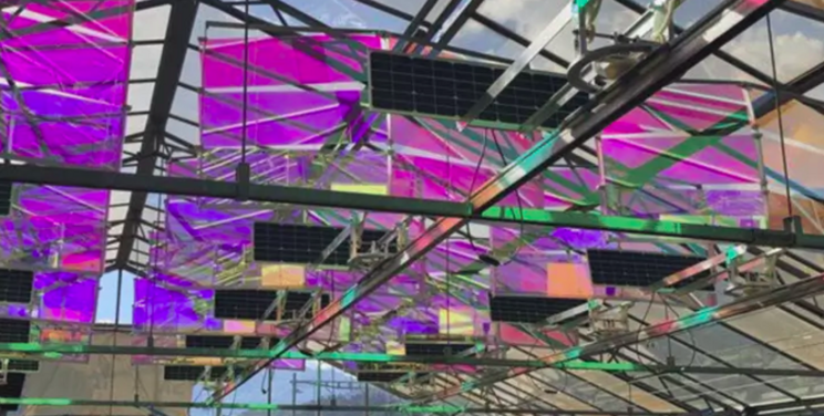 Self-powering greenhouses and more green innovations