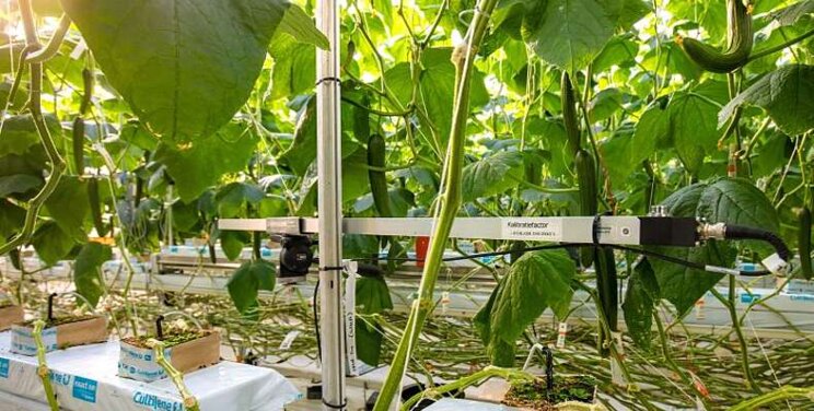 Model-driven greenhouse cultivation is getting shape