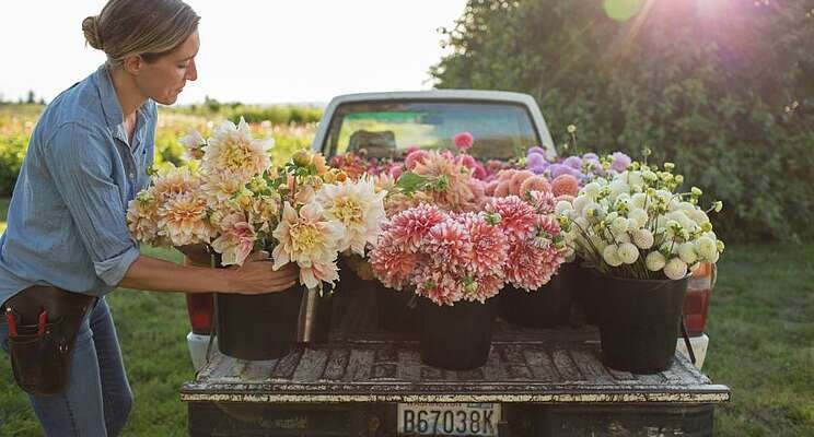 Cut flowers remain trendy as pandemic wanes