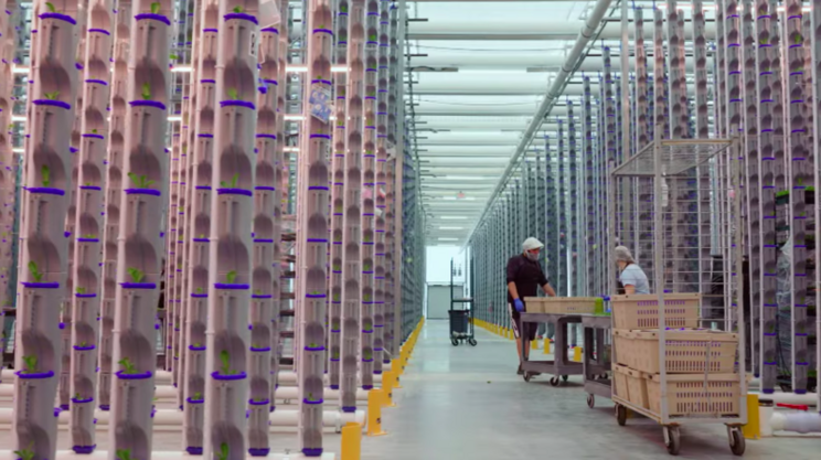 Eden Green opens 1st phase of $47M vertical farm in N. Texas Eden Green opens 1st phase of $47M vertical farm in N. Texas