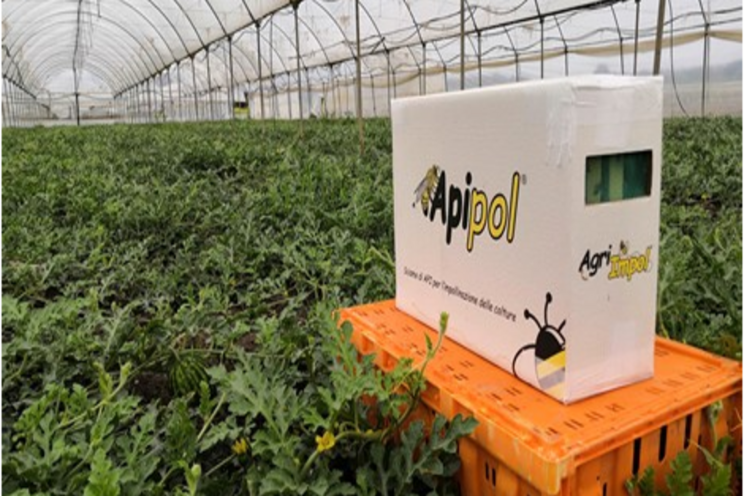 Agri Impo's strategies for biological control Agri Impo's strategies for biological control