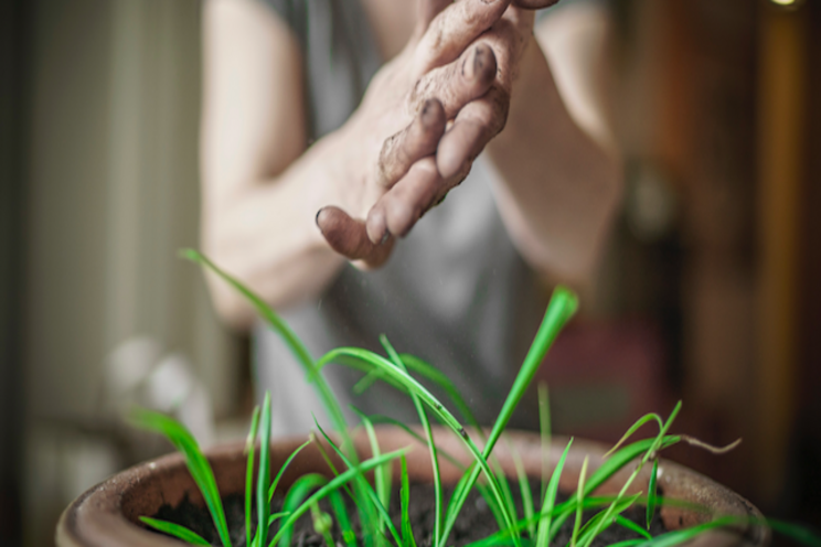 The autonomous in-home micro-farming solution The autonomous in-home micro-farming solution