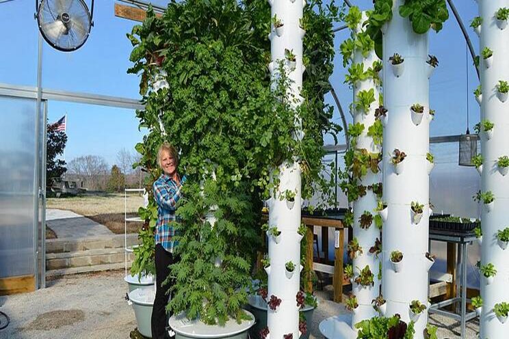 Equipment purchase of 450 vertical towers in BC Equipment purchase of 450 vertical towers in BC