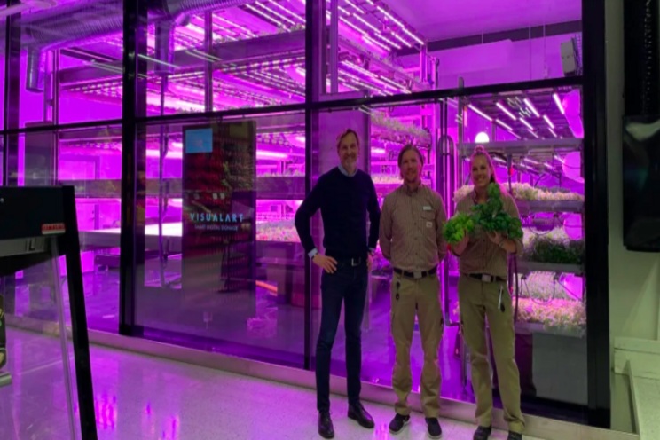 Stockholm's largest In-Store farm Stockholm's largest In-Store farm