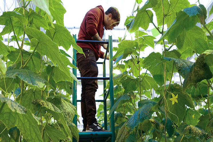 Registration has opened for Canadian Greenhouse Conference Registration has opened for Canadian Greenhouse Conference