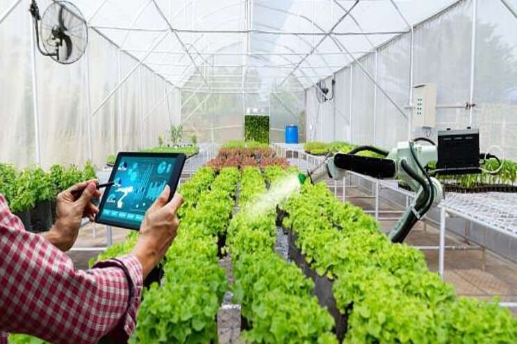 Intelligent greenhouse market may see robust growth by 2026 Intelligent greenhouse market may see robust growth by 2026