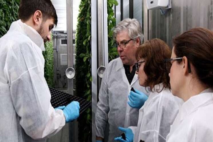 A Boston startup growing global solutions to food insecurity A Boston startup growing global solutions to food insecurity