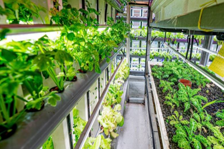 Sharjah: Drones, hydroponics to boost UAE food security Sharjah: Drones, hydroponics to boost UAE food security